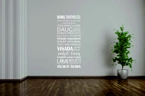 NAMŲ TAISYKLĖS
